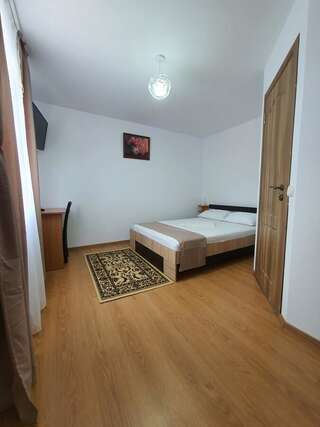 Гостевой дом Pensiunea Stan Cisnădie Двухместный номер с 1 кроватью или 2 отдельными кроватями-4