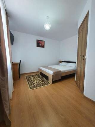 Гостевой дом Pensiunea Stan Cisnădie Двухместный номер с 1 кроватью или 2 отдельными кроватями-27